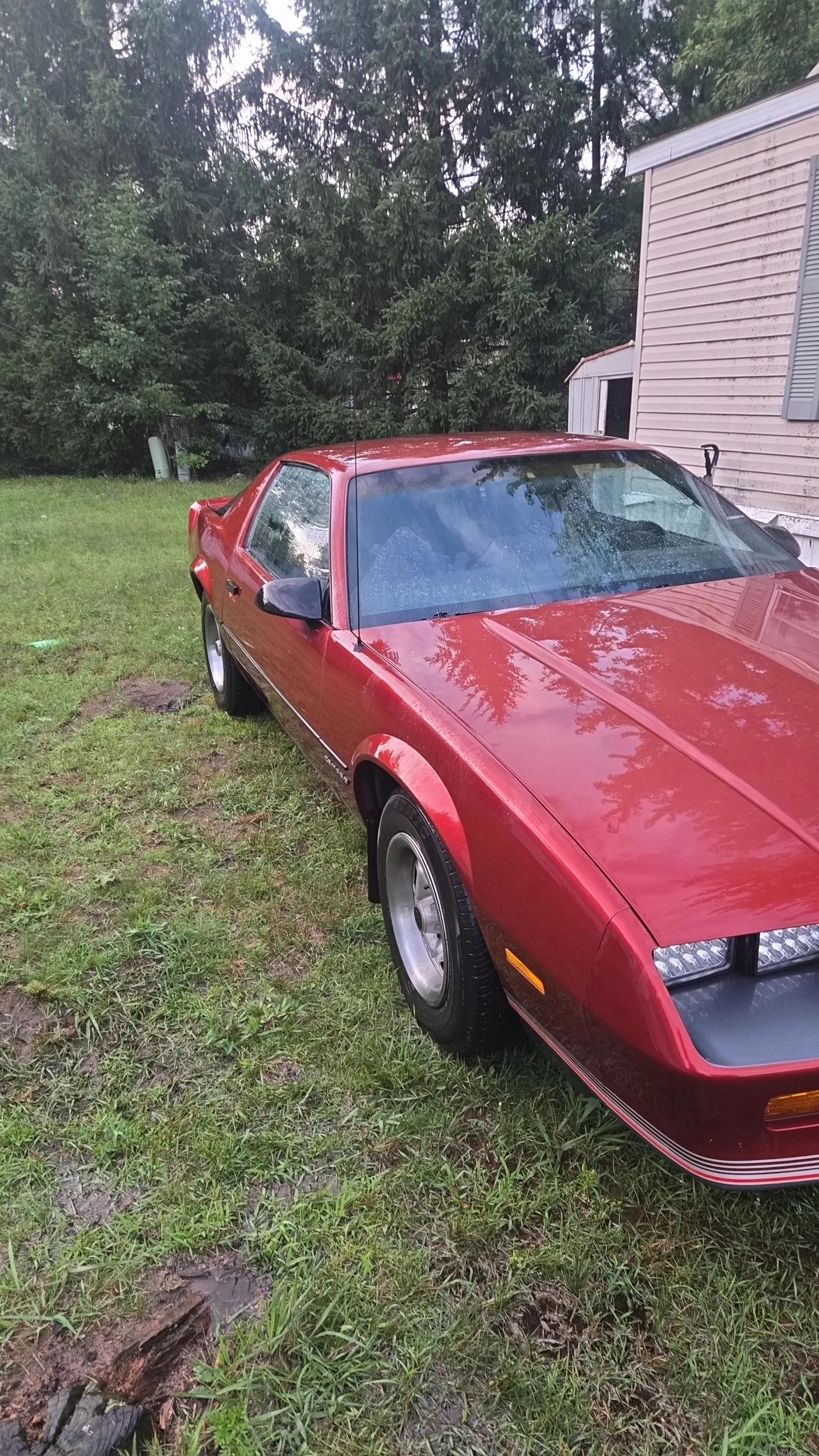 Camaro